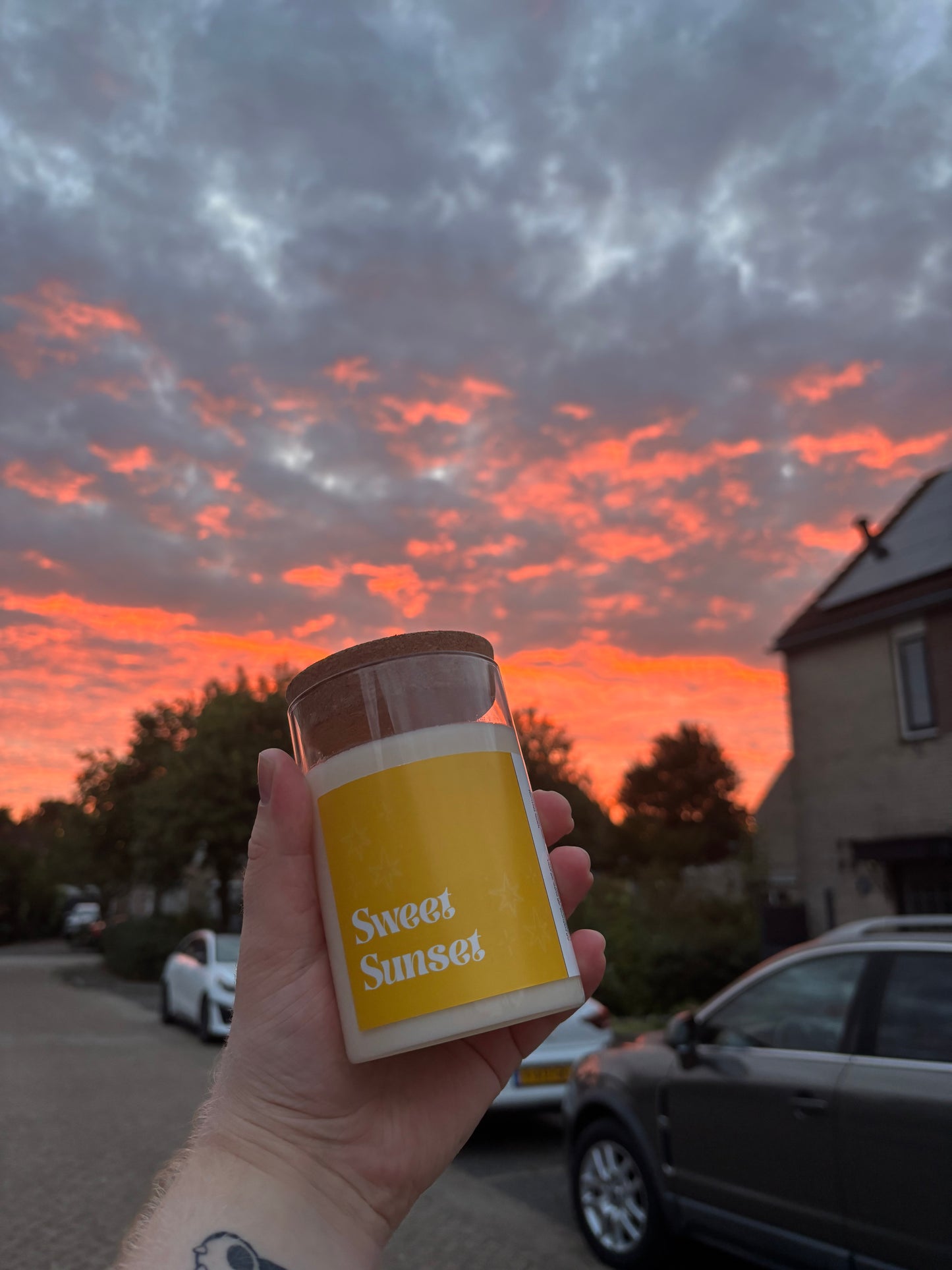 Sweet Sunset